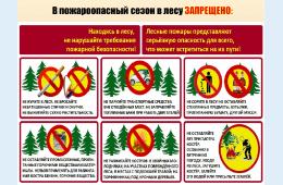 05.03.2025 Памятка о соблюдении правил пожарной безопасности в лесах | Администрация муниципального округа город Партизанск Приморского края Официальный сайт