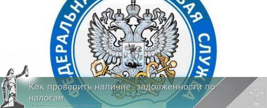 Как проверить наличие задолженности по налогам | Администрация муниципального округа город Партизанск Приморского края Официальный сайт Как проверить наличие задолженности по налогам | Администрация муниципального округа город Партизанск Приморского края Официальный сайт