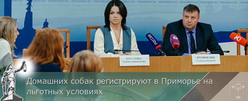 Домашних собак регистрируют в Приморье на льготных условиях | Администрация муниципального округа город Партизанск Приморского края Официальный сайт Домашних собак регистрируют в Приморье на льготных условиях | Администрация муниципального округа город Партизанск Приморского края Официальный сайт