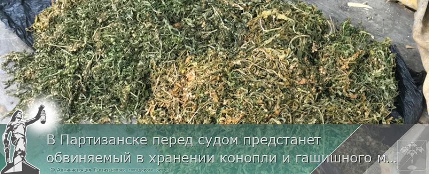 В Партизанске перед судом предстанет обвиняемый в хранении конопли и гашишного масла | Администрация муниципального округа город Партизанск Приморского края Официальный сайт В Партизанске перед судом предстанет обвиняемый в хранении конопли и гашишного масла | Администрация муниципального округа город Партизанск Приморского края Официальный сайт