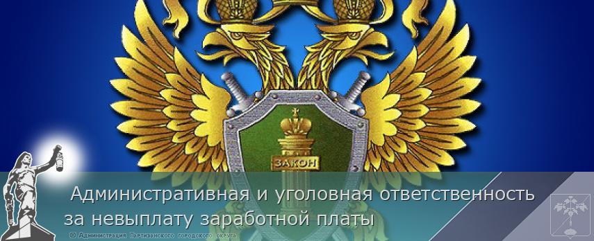 Административная и уголовная ответственность за невыплату заработной платы | Администрация муниципального округа город Партизанск Приморского края Официальный сайт Административная и уголовная ответственность за невыплату заработной платы | Администрация муниципального округа город Партизанск Приморского края Официальный сайт