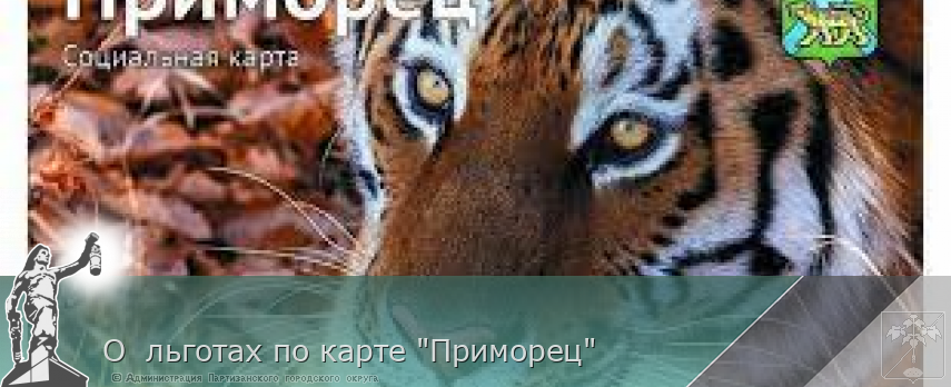О льготах по карте "Приморец" | Администрация муниципального округа город Партизанск Приморского края Официальный сайт О льготах по карте "Приморец" | Администрация муниципального округа город Партизанск Приморского края Официальный сайт