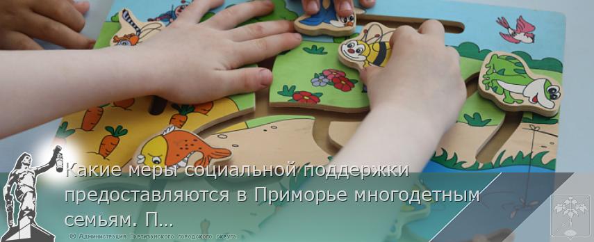 Какие меры социальной поддержки предоставляются в Приморье многодетным семьям. ПАМЯТКА | Администрация муниципального округа город Партизанск Приморского края Официальный сайт