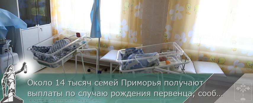 Около 14 тысяч семей Приморья получают выплаты по случаю рождения первенца, сообщает www.primorsky.ru | Администрация муниципального округа город Партизанск Приморского края Официальный сайт
