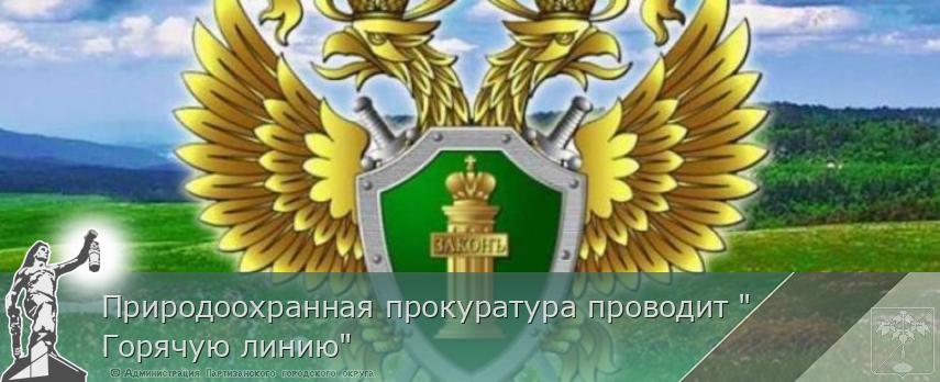 Природоохранная прокуратура проводит &quot;Горячую линию&quot; | Администрация муниципального округа город Партизанск Приморского края Официальный сайт