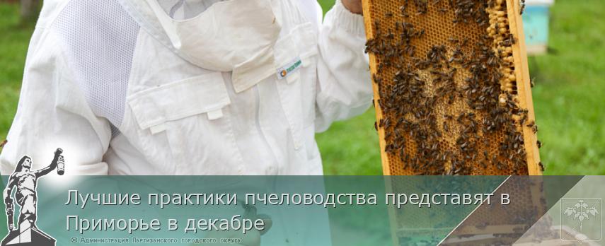Лучшие практики пчеловодства представят в Приморье в декабре | Администрация муниципального округа город Партизанск Приморского края Официальный сайт Лучшие практики пчеловодства представят в Приморье в декабре | Администрация муниципального округа город Партизанск Приморского края Официальный сайт