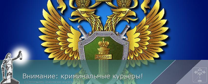 Внимание: криминальные курьеры! | Администрация муниципального округа город Партизанск Приморского края Официальный сайт