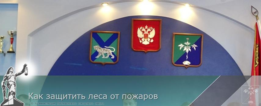 Как защитить леса от пожаров | Администрация муниципального округа город Партизанск Приморского края Официальный сайт Как защитить леса от пожаров | Администрация муниципального округа город Партизанск Приморского края Официальный сайт