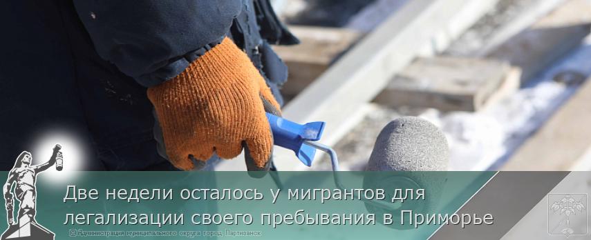 Две недели осталось у мигрантов для легализации своего пребывания в Приморье | Администрация муниципального округа город Партизанск Приморского края Официальный сайт Две недели осталось у мигрантов для легализации своего пребывания в Приморье | Администрация муниципального округа город Партизанск Приморского края Официальный сайт