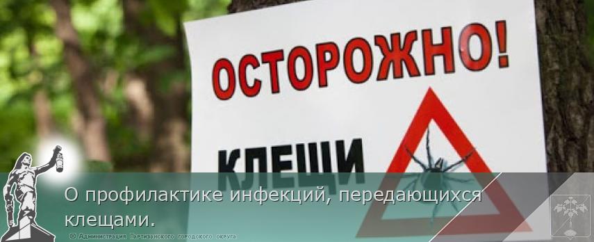 О профилактике инфекций, передающихся клещами. | Администрация муниципального округа город Партизанск Приморского края Официальный сайт О профилактике инфекций, передающихся клещами. | Администрация муниципального округа город Партизанск Приморского края Официальный сайт
