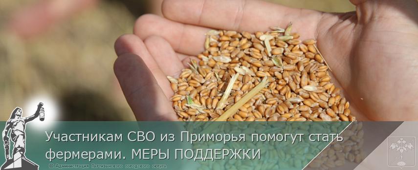 Участникам СВО из Приморья помогут стать фермерами. МЕРЫ ПОДДЕРЖКИ | Администрация муниципального округа город Партизанск Приморского края Официальный сайт Участникам СВО из Приморья помогут стать фермерами. МЕРЫ ПОДДЕРЖКИ | Администрация муниципального округа город Партизанск Приморского края Официальный сайт