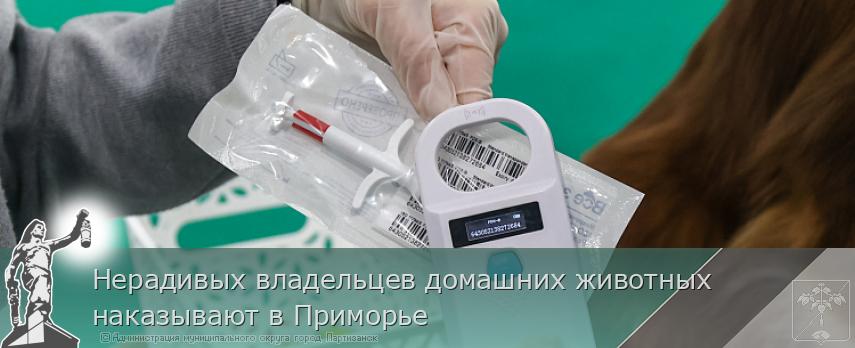 Нерадивых владельцев домашних животных наказывают в Приморье | Администрация муниципального округа город Партизанск Приморского края Официальный сайт