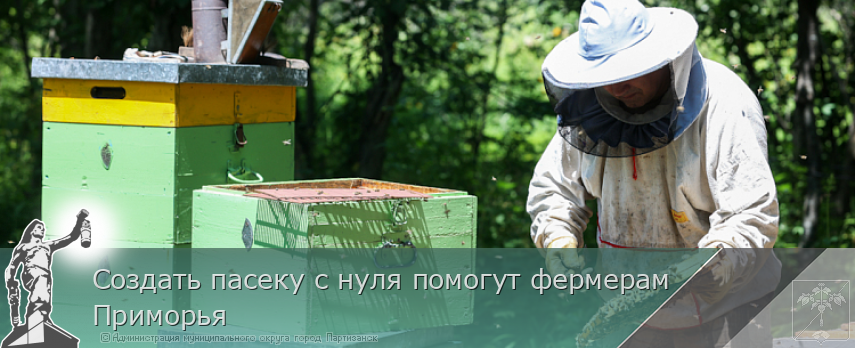 Создать пасеку с нуля помогут фермерам Приморья | Администрация муниципального округа город Партизанск Приморского края Официальный сайт