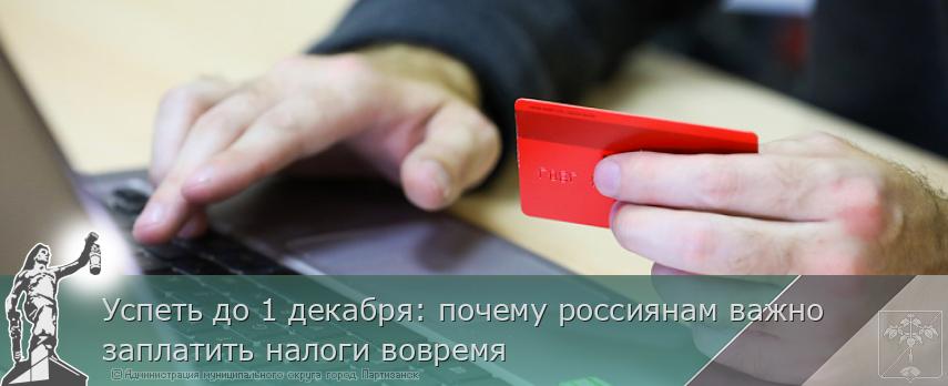 Успеть до 1 декабря: почему россиянам важно заплатить налоги вовремя | Администрация муниципального округа город Партизанск Приморского края Официальный сайт