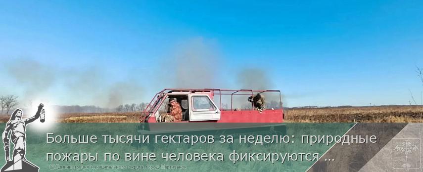 Больше тысячи гектаров за неделю: природные пожары по вине человека фиксируются Приморье | Администрация муниципального округа город Партизанск Приморского края Официальный сайт